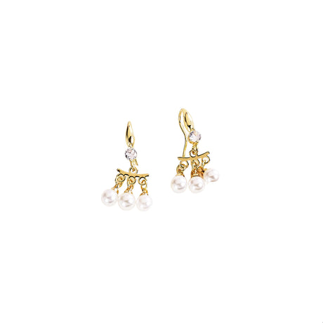 Dangle earrings for women indian ethnic jewelry jhumke gift