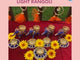 9 Ct Elephant, Rangoli Set, Rangoli Decoration, Indian Rangoli, Diya Rangoli, Diwali Rangoli, Diwali Gift, Diwali Decoration, Diwali Decor, Decorative Rangoli