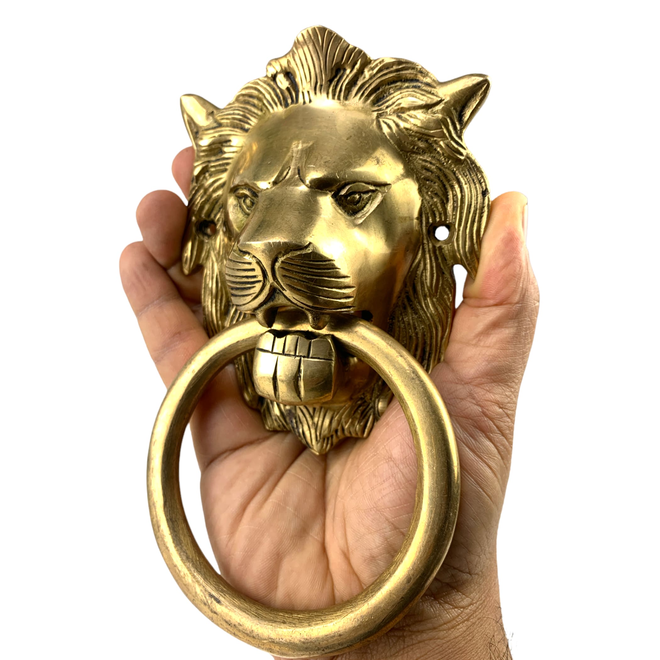 Lion head brass door knocker front metal unique house
